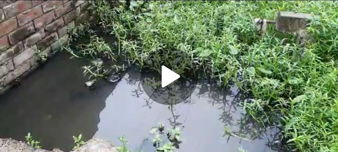 মুর্শিদাবাদ বহরমপুর রাধারঘাট এক নম্বর গ্রাম পঞ্চায়েতের গোপ জান এলাকায় ড্রন নিকাশি ব্যবস্থা ও রাস্তায় জল জমে যাওয়া এই সমস্যা গত পাঁচ বছর ধরে এলাকার মানুষকে সমস্যার মুখে পড়তে হচ্ছে Screenshot 20210629 170701 WhatsApp মুর্শিদাবাদ বহরমপুর রাধারঘাট এক নম্বর গ্রাম পঞ্চায়েতের গোপ জান এলাকায় ড্রন নিকাশি ব্যবস্থা ও রাস্তায় জল জমে যাওয়া এই সমস্যা গত পাঁচ বছর ধরে এলাকার মানুষকে সমস্যার মুখে পড়তে হচ্ছে